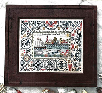 23-1237 Summer Quaker